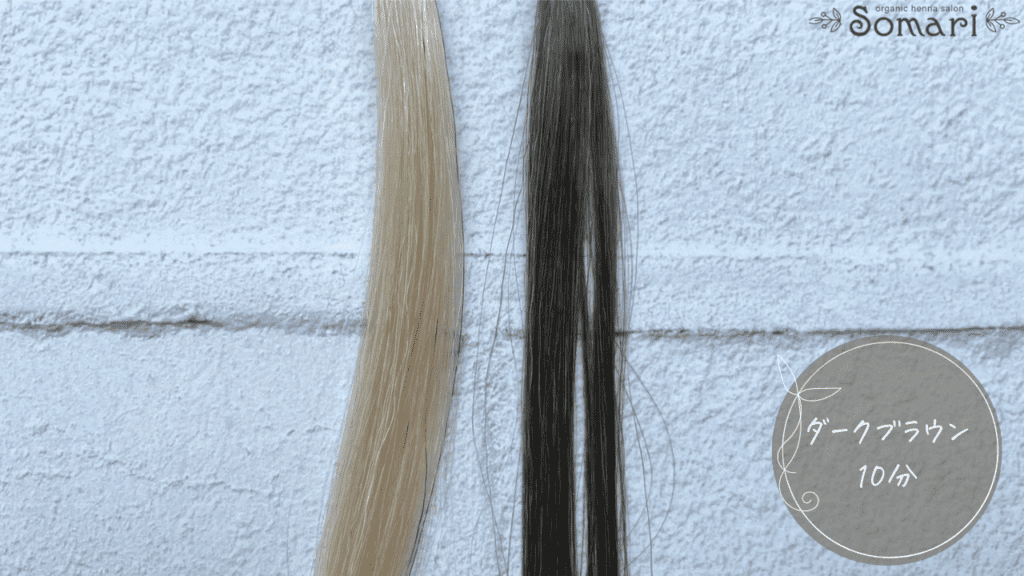 ブラトリ　ダークブラウンの染毛効果検証