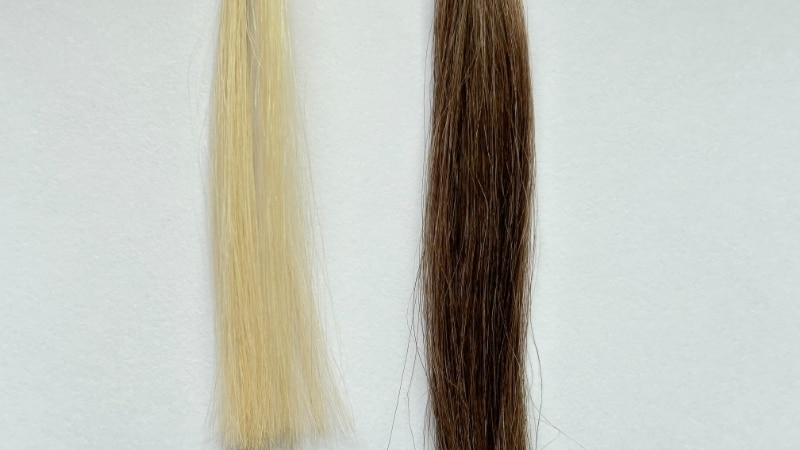 スティーブン ノル カラークチュール クリームヘアカラーの毛束検証画像