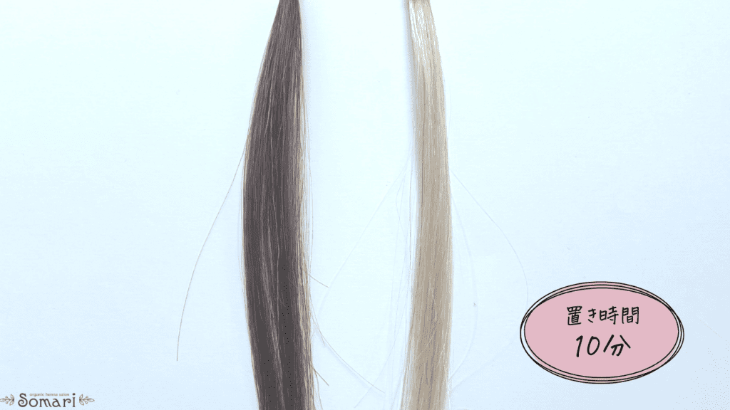 KAMIKA（カミカ）白髪染めカラートリートメントの毛束検証10分放置