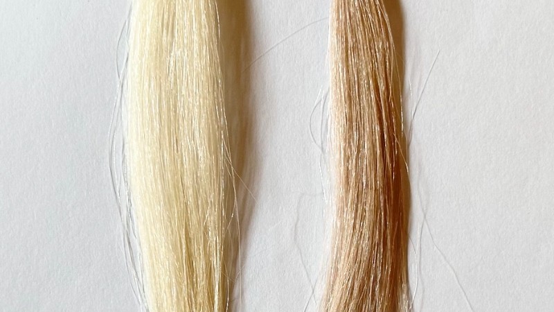 フレッシュライト ミルキーヘアカラー プレミアムベージュの染毛効果検証