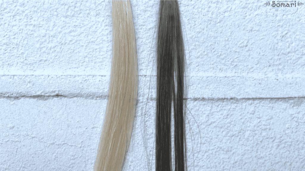 ブラトリの染毛効果検証