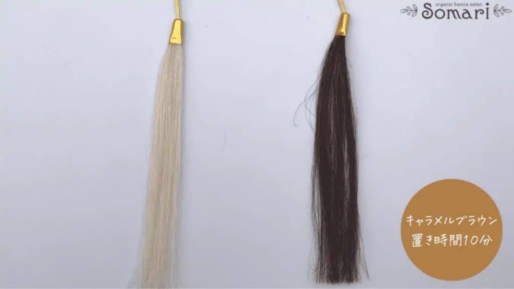 DUO白髪染めクレイエンスキャラメルブラウンの白髪染め効果検証10分放置