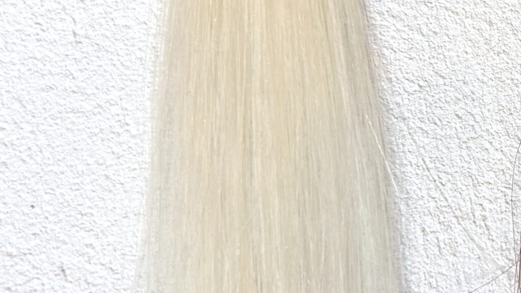 バランローズkuro（黒）クリームシャンプー（ダークブラウン）の5分白髪染まり検証前