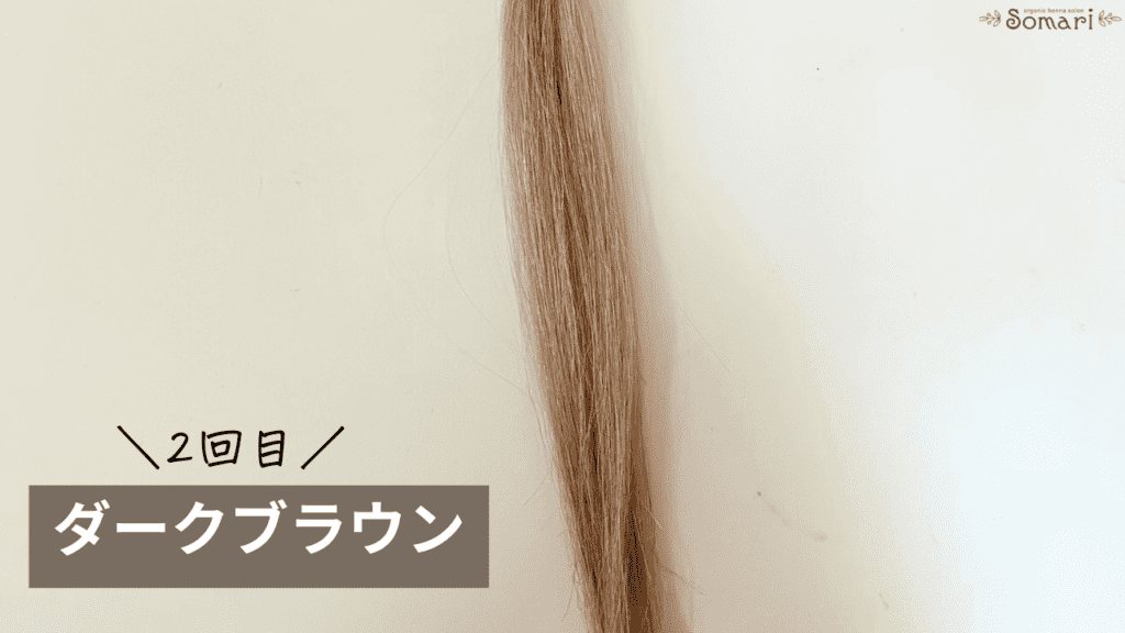リシリアフレルカラーシャンプーのダークブラウンの染毛効果検証2回目