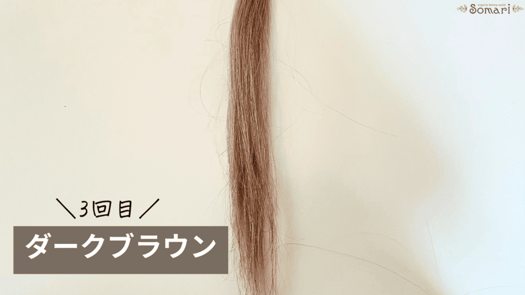 リシリアフレルカラーシャンプーのダークブラウンの染毛効果検証