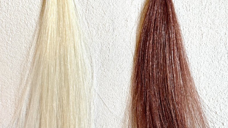 ボタニカルカラークリームシャンプーダークブラウン染毛効果検証1回目