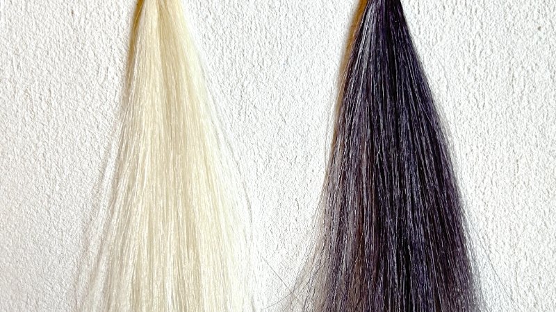 ボタニカルカラークリームシャンプーブラックの染毛効果検証1回目