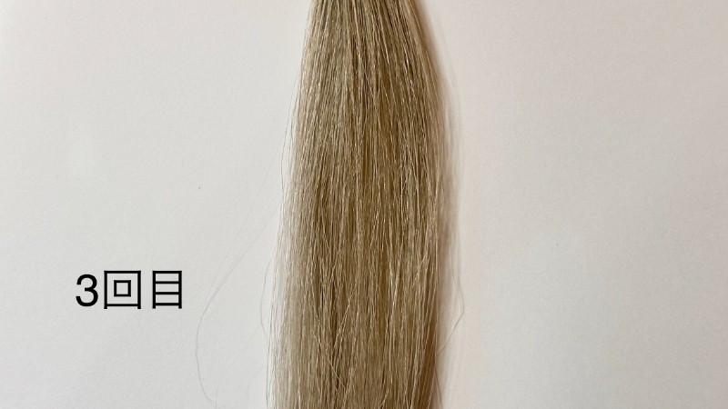 利尻炭酸カラーシャンプーのダークブラウンの白髪を染める効果を検証3回目