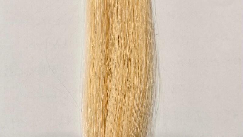 利尻炭酸カラーシャンプーのburakku
の白髪を染める効果を検証前