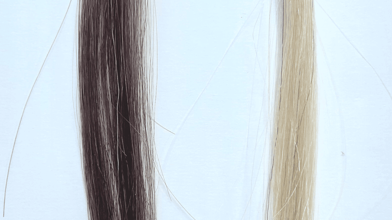 カミカ白髪染めヘアカラートリートメント染毛効果検証