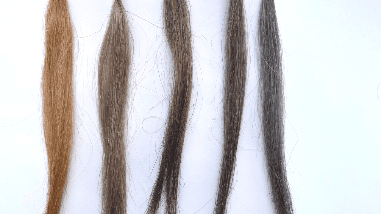 ルプルプエッセンスヘアカラートリートメント染毛効果検証