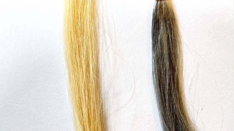 ヘアージュ白髪染めヘアカラーフォームの染毛力効果検証5分