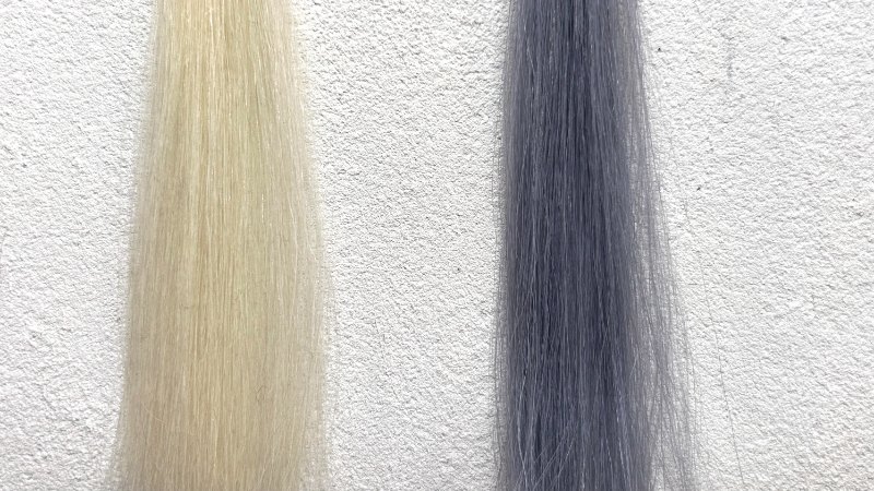 サイオスカラージェニックミルキーヘアカラーA01ヌーディアッシュの染毛効果検証