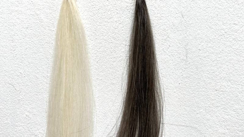 シエロ デザイニングカラー プレミアムアッシュの毛束検証画像