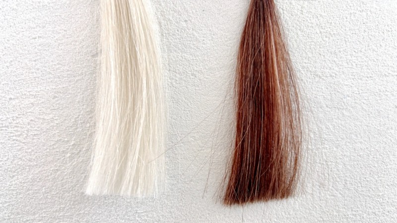 ナプラ N.アシッドカラーの毛束検証画像