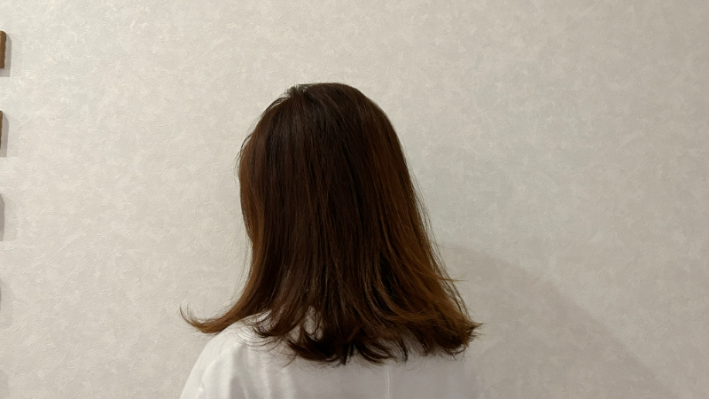 ホーユー プロマスター カラーケアリッチシャンプー使用後の髪