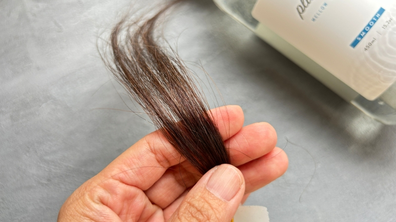 プリュスオー メロウシャンプー使用後の毛束