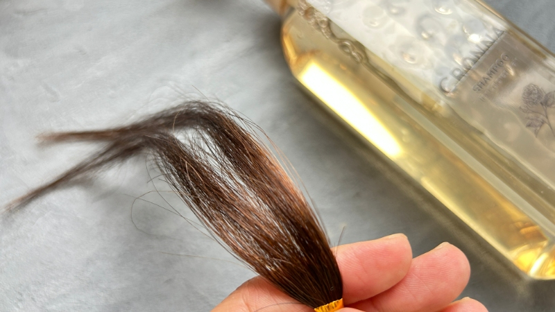 ミルボンクロナシャンプー使用後の毛束
