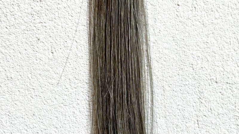 綺和美 白髪染めカラートリートメント（ROOT VANISH）の染毛効果検証1回目