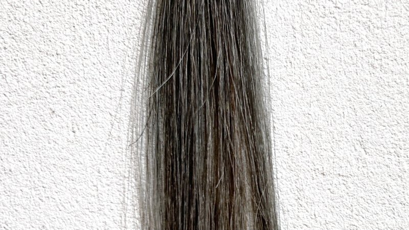 綺和美 白髪染めカラートリートメント（ROOT VANISH）の染毛効果検証2回目