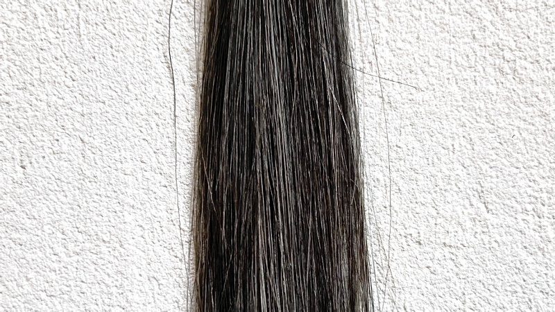 綺和美 白髪染めカラートリートメント（ROOT VANISH）の染毛効果検証3回目