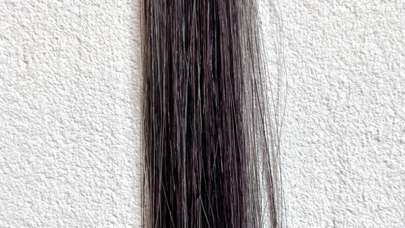 KAMIKA（カミカ）白髪染めカラートリートメント染毛効果検証1回目