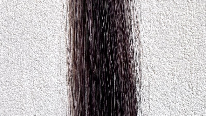 KAMIKA（カミカ）白髪染めカラートリートメント染毛効果検証2回目