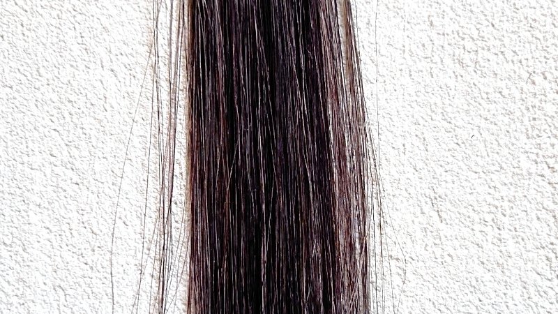 KAMIKA（カミカ）白髪染めカラートリートメント染毛効果検証3回目