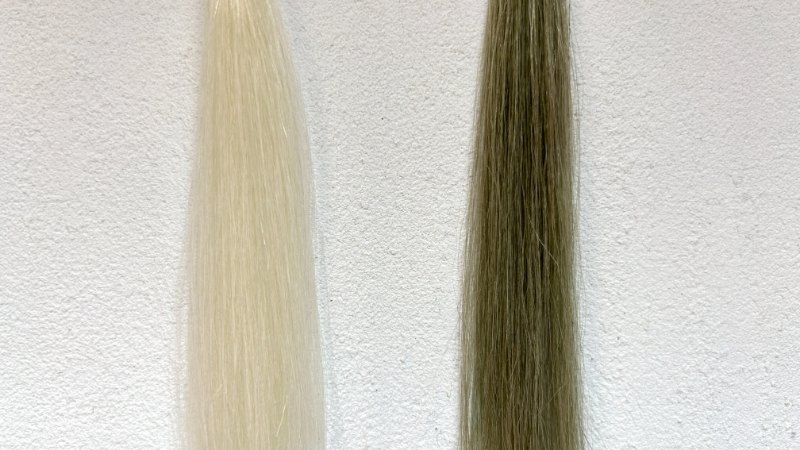 利尻炭酸カラーシャンプーの染毛効果検証
