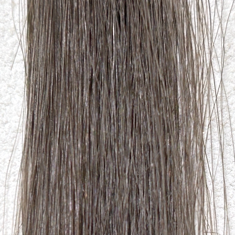Liese（リーゼ）泡カラー スモーキーアッシュグレイ茶髪に染毛した場合の色落ち検証画像7日目