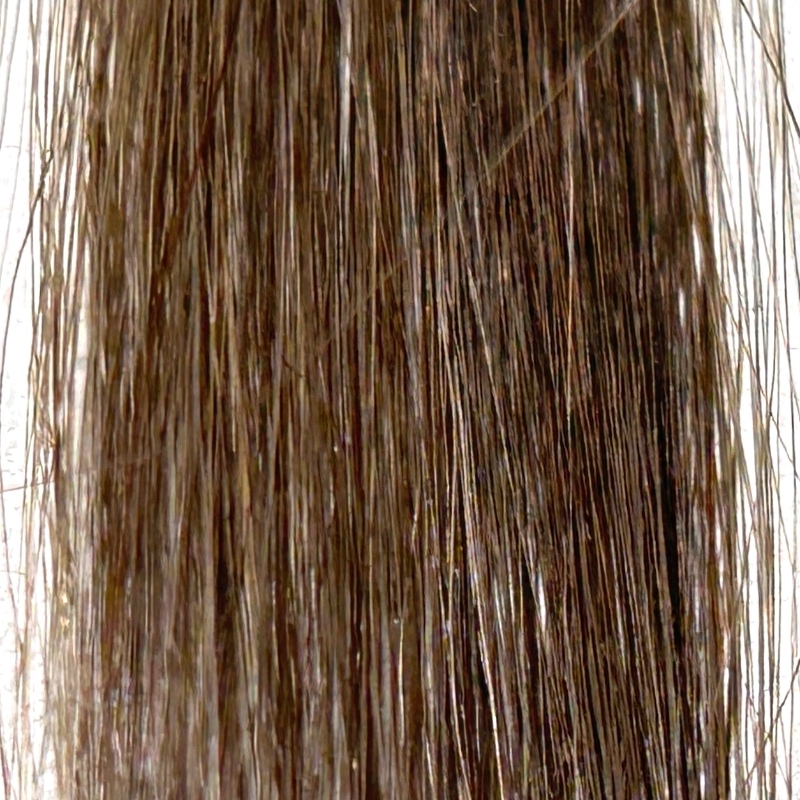 ビューティラボ バニティカラー ヘアカラー グラマラスアッシュ茶髪に染毛した場合の色落ち検証画像7日目