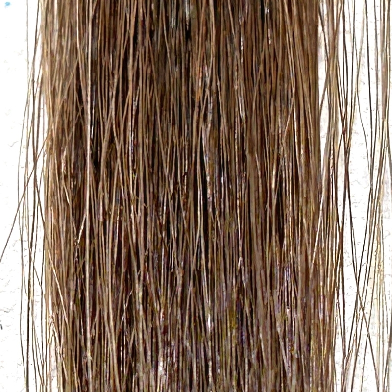 ビューティラボ バニティカラー ヘアカラー グラマラスアッシュ茶髪に染毛した場合の色落ち検証画像3日目