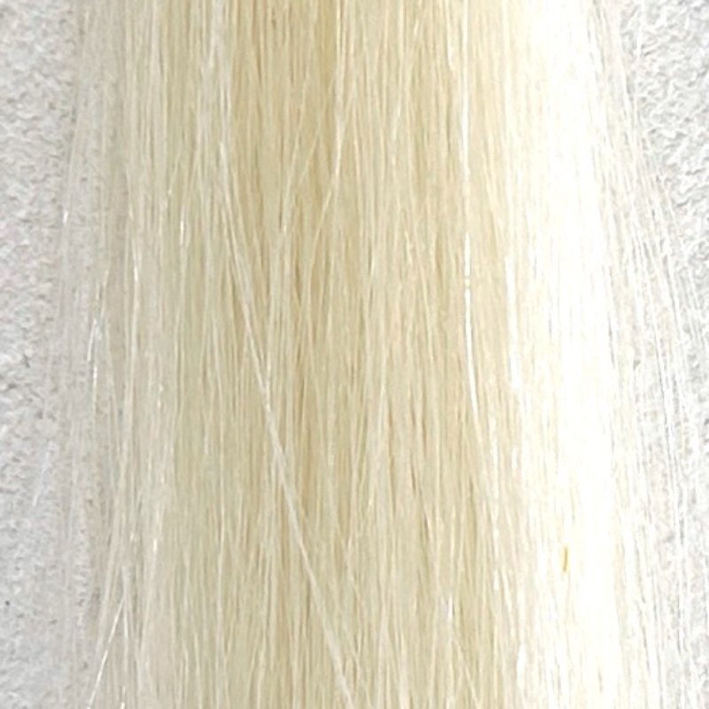 KAMIKA（カミカ）白髪染めカラートリートメントの染毛効果検証前
