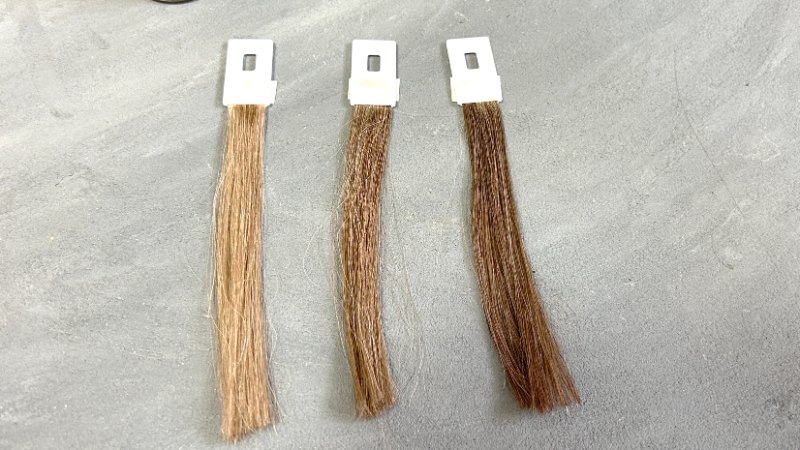 ビゲンカラートリートメントの染毛効果検証した毛束