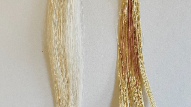 エブリパンテラレオベージュの毛束比較画像