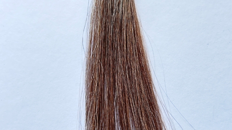 イルミナカラー（サファリ）の染毛効果検証