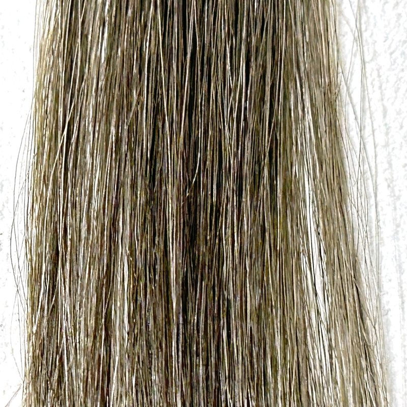 KAMIKA（カミカ）白髪染めカラートリートメントの染毛効果検証1回目