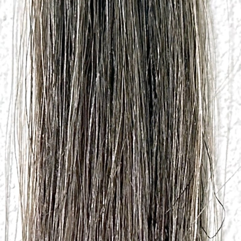 KAMIKA（カミカ）白髪染めカラートリートメントの染毛効果検証3回目