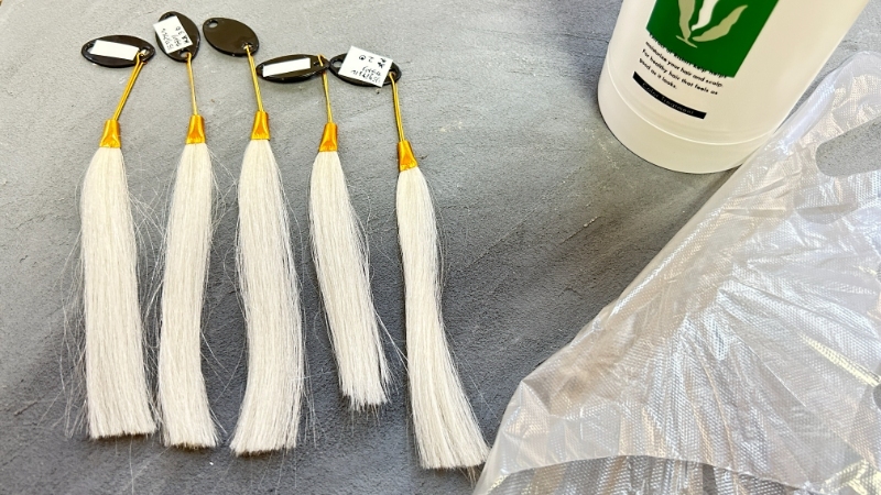 リシリアフレルカラートリートメント染毛力検証前の白髪毛束