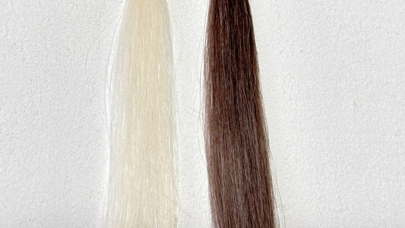リシリアフレルカラートリートメント乾いた髪に染毛力検証1回使用後