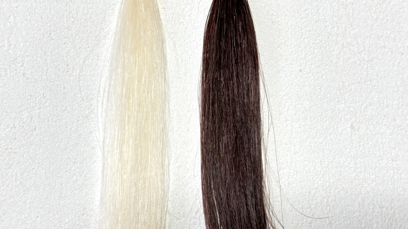 リシリアフレルカラートリートメント乾いた髪に染毛力検証2回使用後