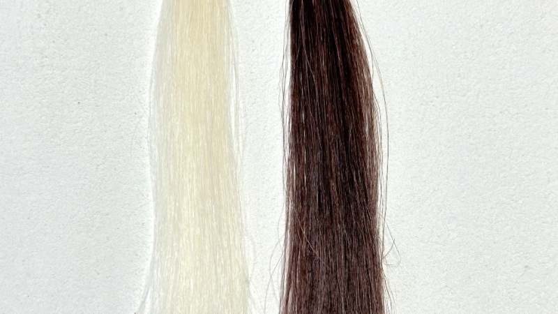 リシリアフレルカラートリートメント濡れた髪に染毛力検証3回使用後