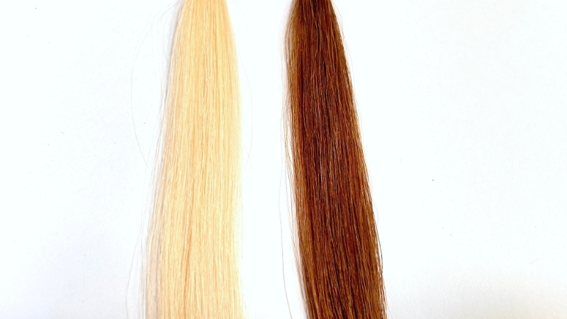 髪萌（HATSUMOE）カラーアップの染毛効果検証