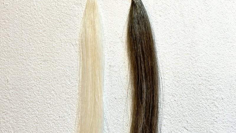 coloris（カラリス）白髪毛束をへの染毛効果を検証