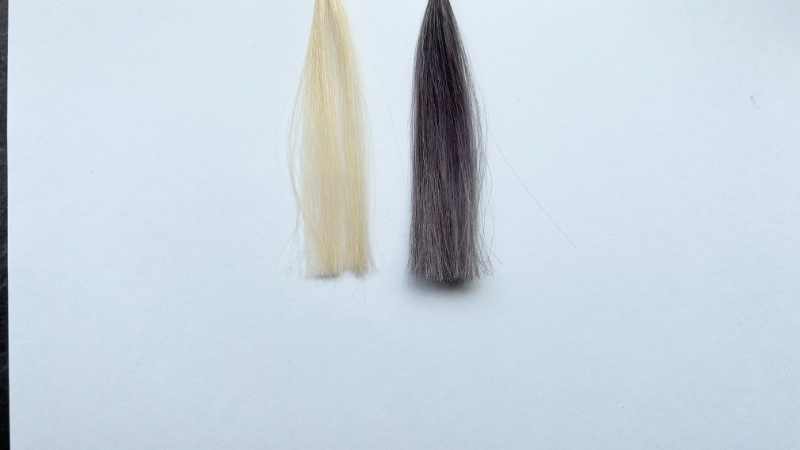 メンズビゲンカラーリンスの毛束比較画像