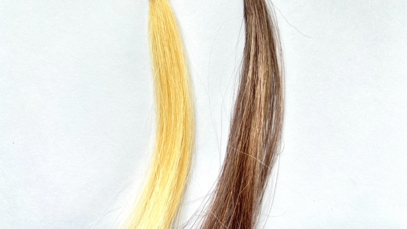 LUCIDO スピーディカラーリンスを毛束で染毛効果検証